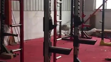 Support de puissance d'haltérophilie Crossfit Rig de Shandong Dezhou directement pris en charge par l'usine