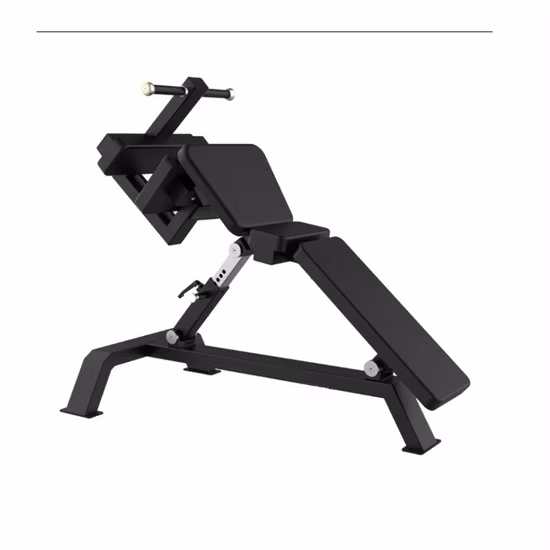 Banc de musculation incliné et incliné, équipement de fitness pour abdominaux