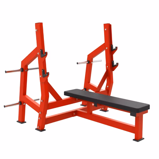Salle de sport commerciale, musculation, banc plat, utilisation en club, musculation, fitness